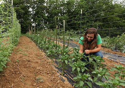 Sydney McTigue works in the garden|Sydney McTigue works in the garden|