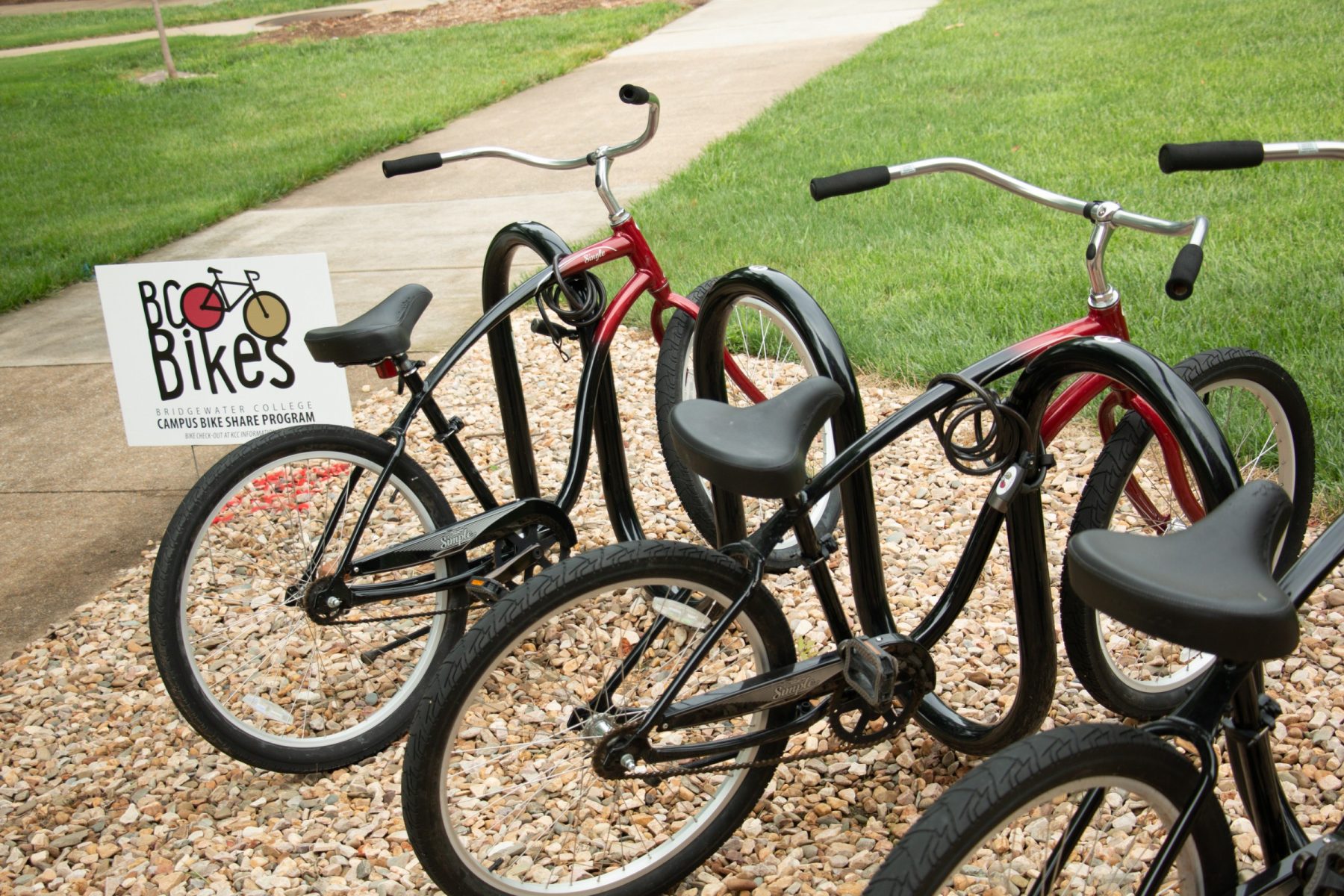 Bike shop rental programs