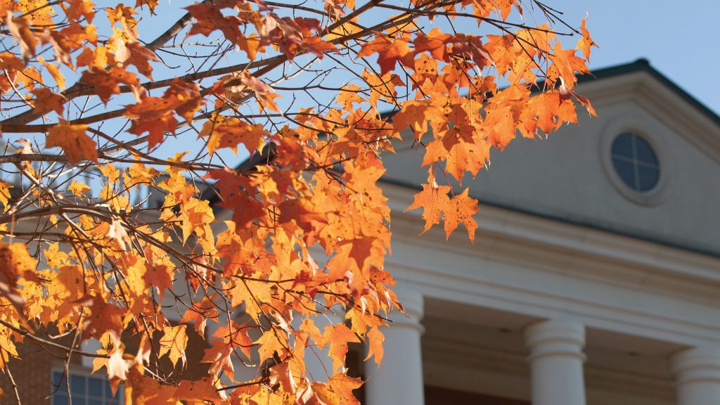 Orange leaves in a tree beside McKinney Center