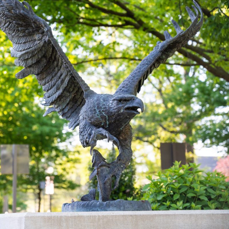 Eagle statue on campus