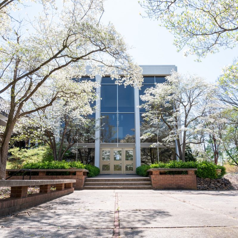 Cole Hall during spring time