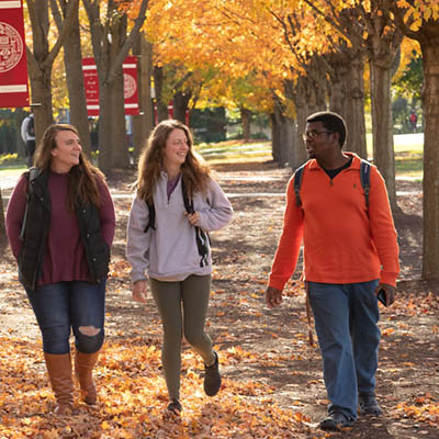 Three people walk together surrounded by trees in the fall|Three people walk together surrounded by trees in the fall