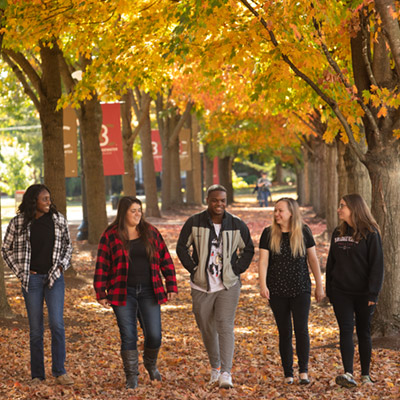 Five people walking down a road with trees with yellow leaves