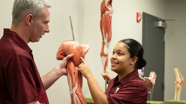 Athletic training student pointing to muscle replica that professor is holding
