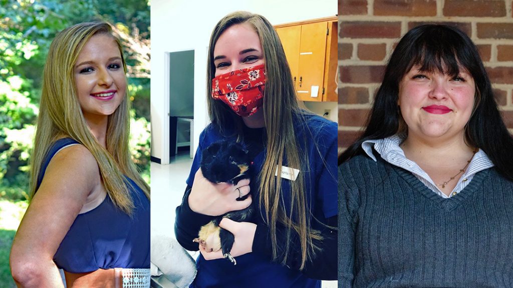 Headshots of three female students