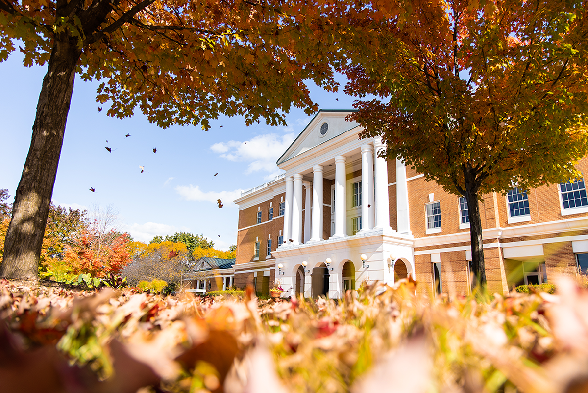 Autumn Leaves at McKinney