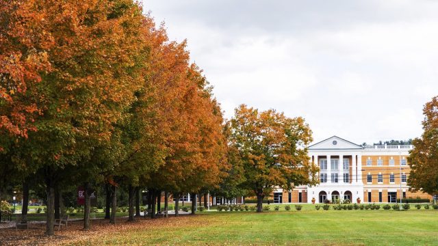 Trees with orange and red leaves line Bridgewater College's campus