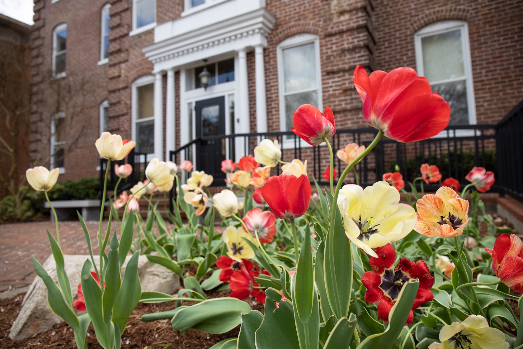 red and yellow flowers are in the foreground while a Bridgewater College brick building is in the background