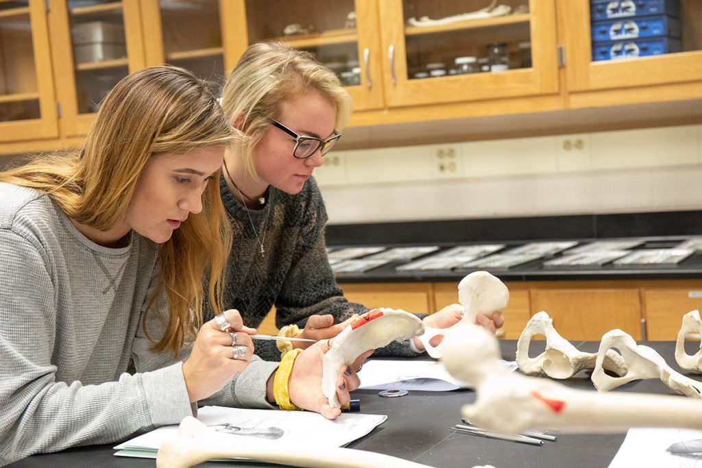 Students in Professor Lawson bone class