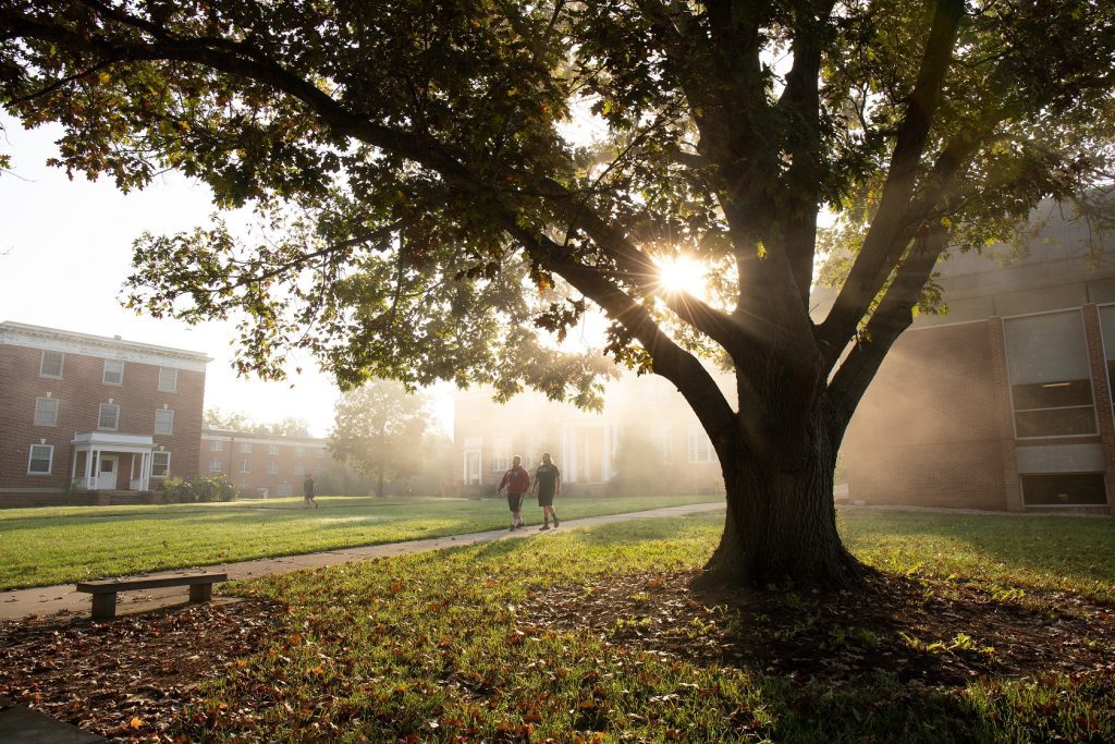 A large tree is in focus with the sun poking through it's branches. It's foggy, but two male students can be seen walking down the sidewalk in the distance.