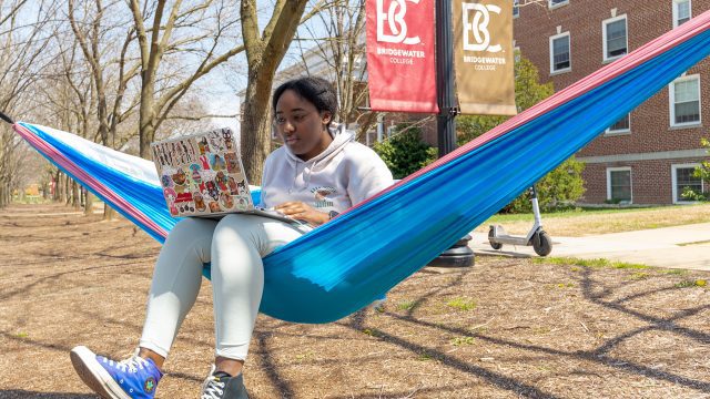 Student sitting in hammock working on laptop