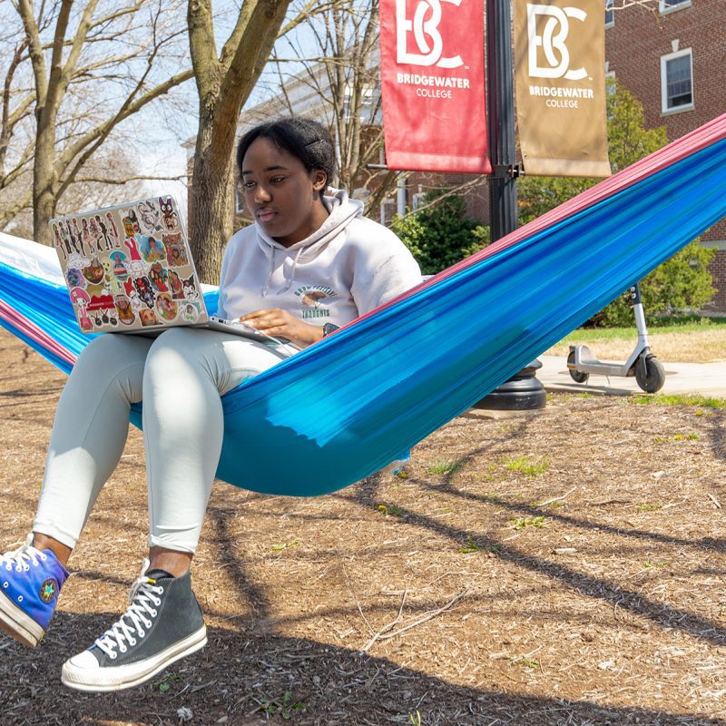 Student sitting in hammock working on laptop