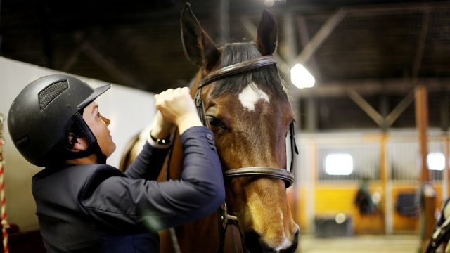 Rider with horse in stable
