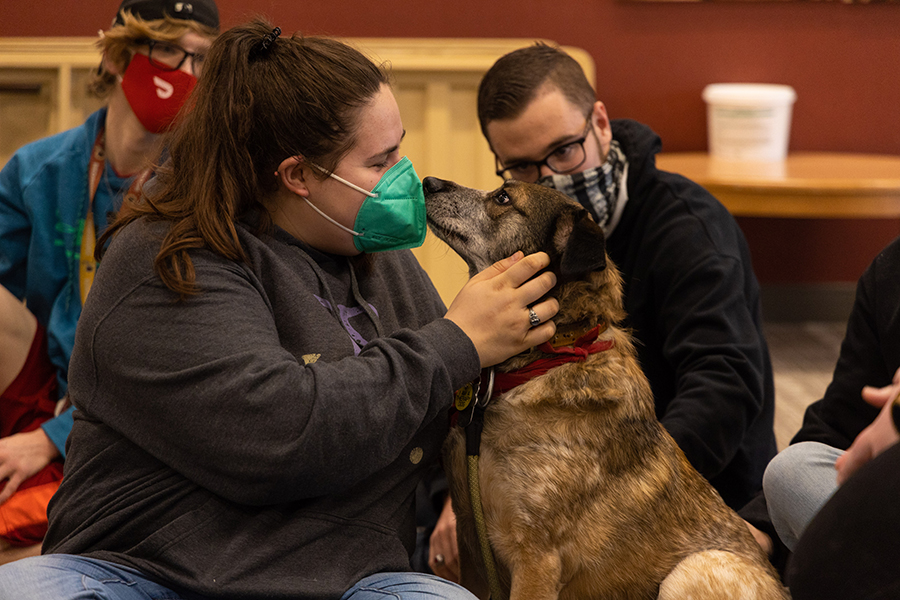 Students wearing face masks pet a therapy dog