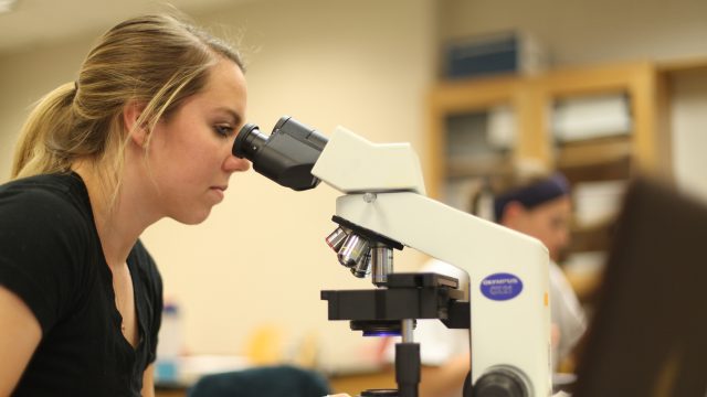 Student looking into microscope