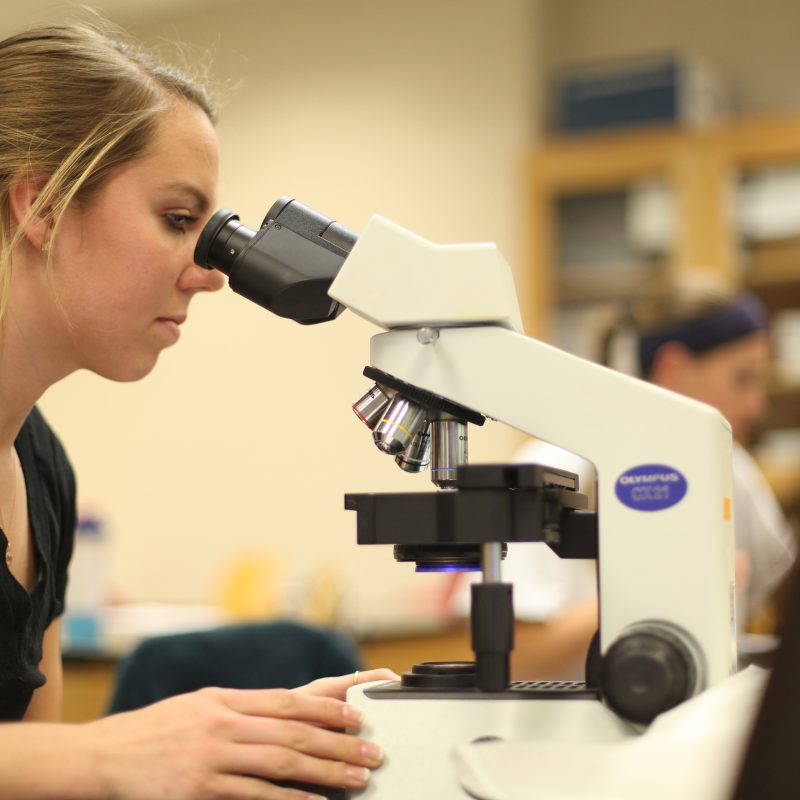 Student looking into microscope