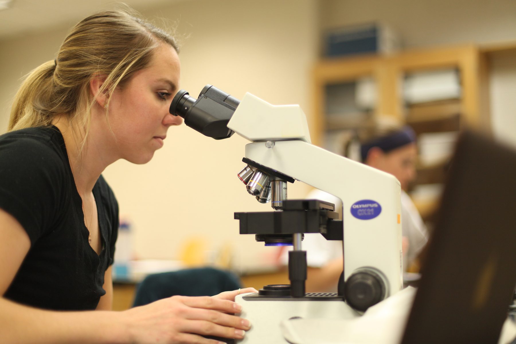 Biology Minor Bridgewater College