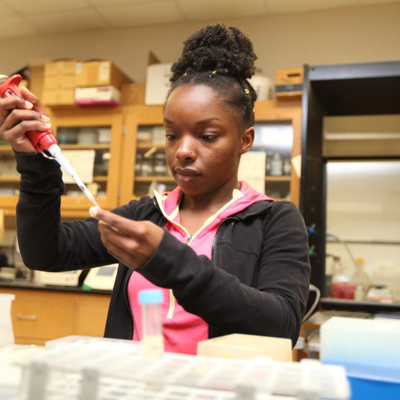 Student using biology research equipment