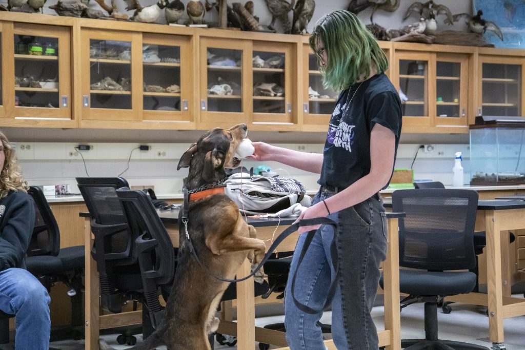 Student playing with dog in McKinney lab