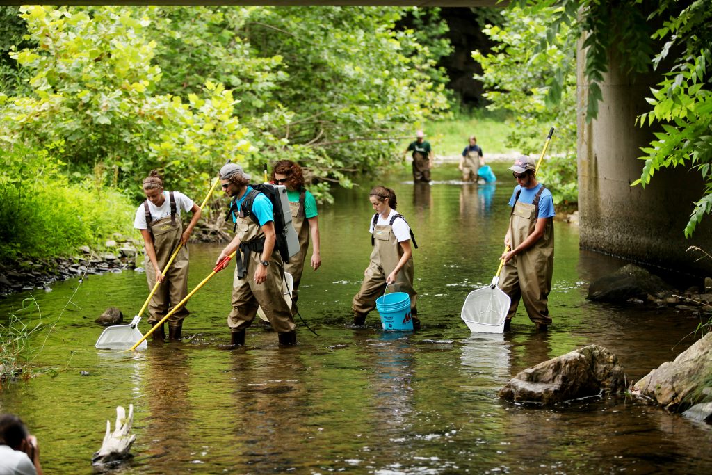 Group of student wading through water with buckets and fish nets. 