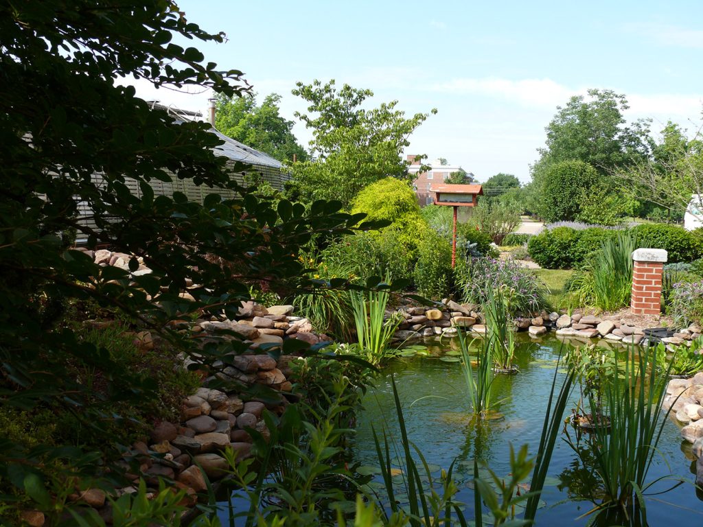 Shrum Garden behind McKinney Center