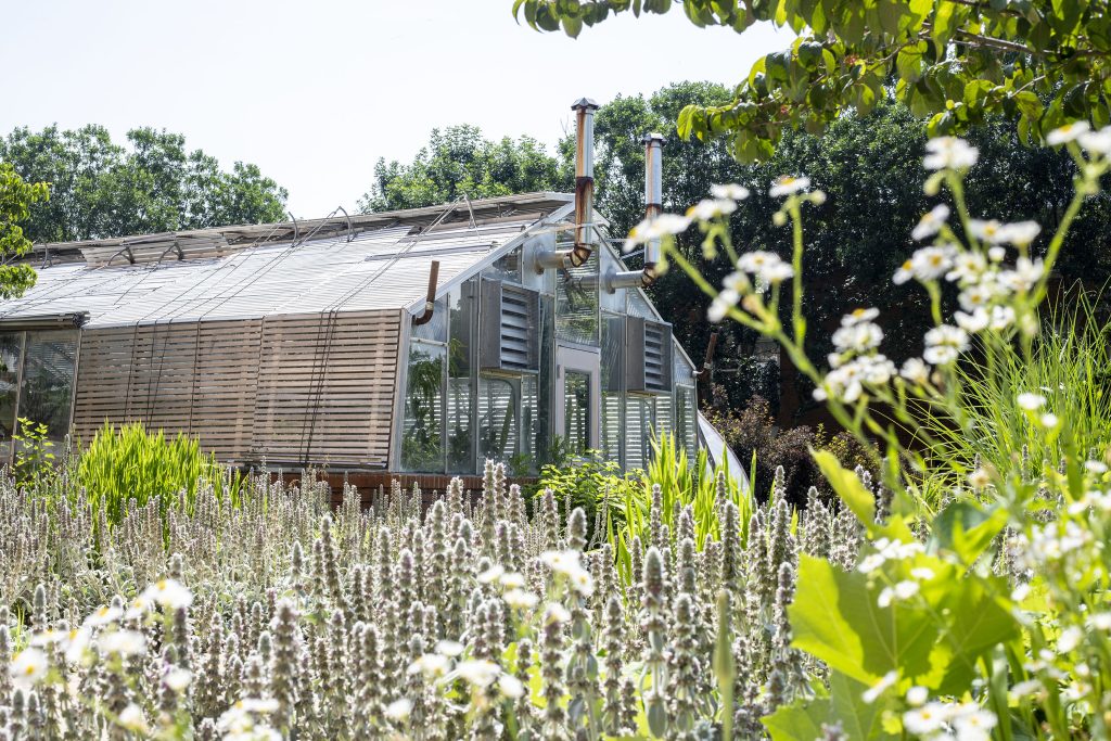 McKinney Pollinator Garden