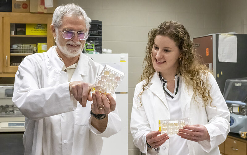 Student with professor working on a research project in a science lab