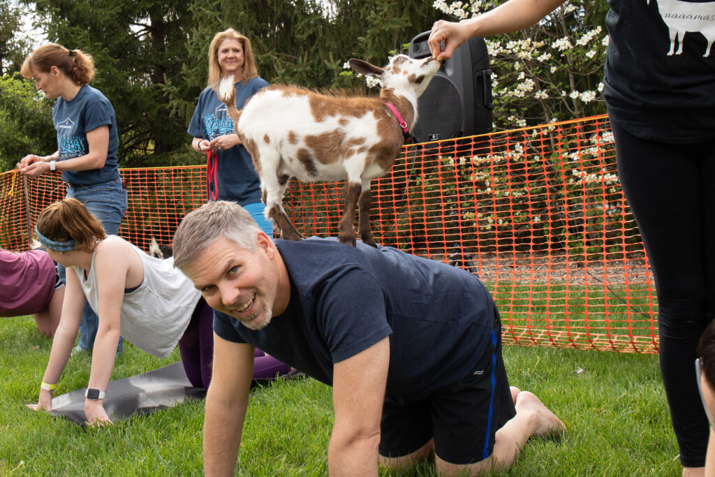 Staff members participating in goat yoga