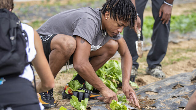 Student working with a plant at the food pantry garden