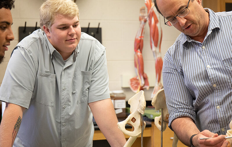 Professor pointing to model of the knee as students observe