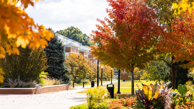 Wampler Towers surrounded by very colorful fall leaves