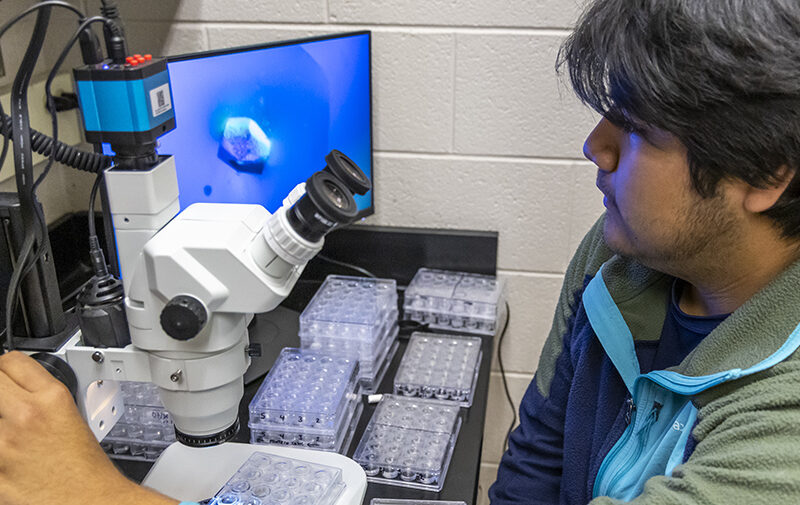 Research student looking a crystals through microscope