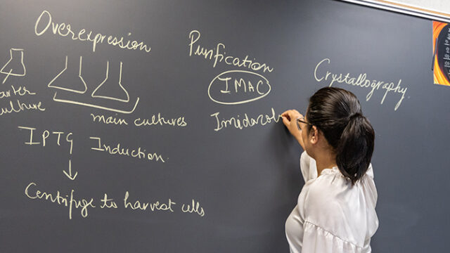 Professor writing biochemistry information on blackboard