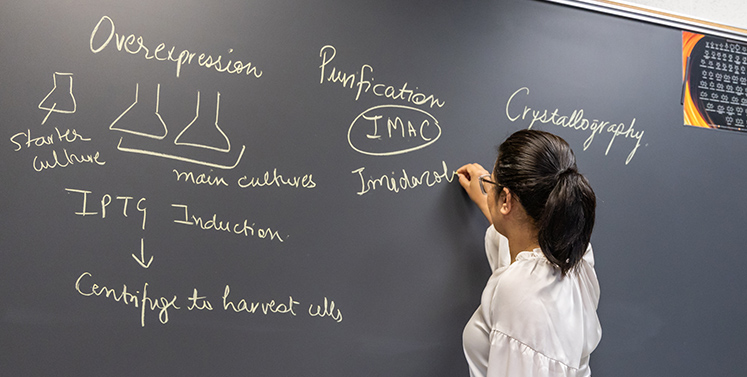 Professor writing biochemistry information on blackboard