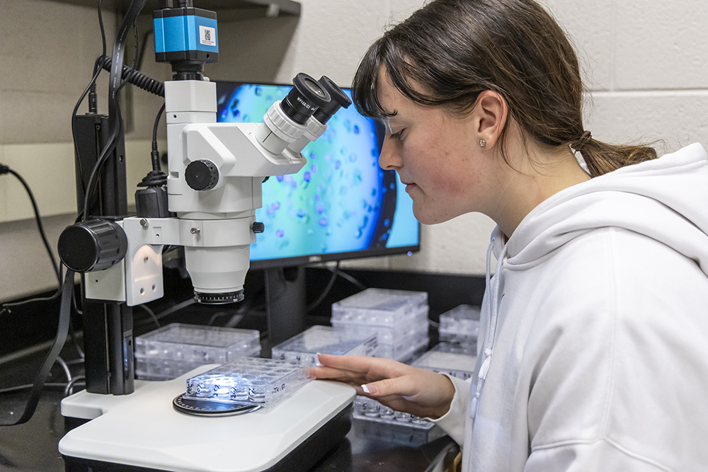 Research student looking a crystals through microscope