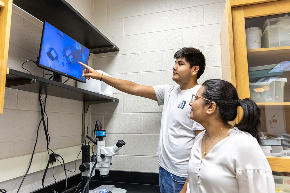 Research student pointing to monitor with image of crystals to professor