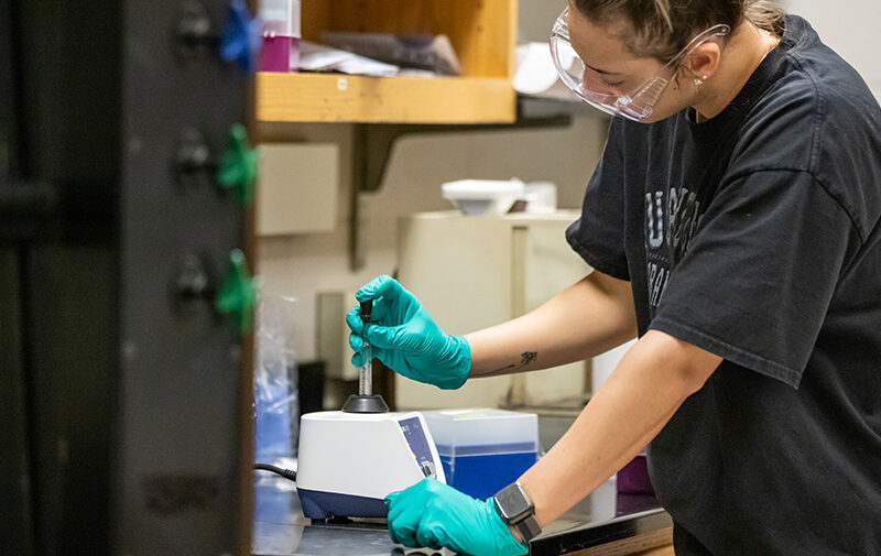 Student working with forensic chemistry lab equipment