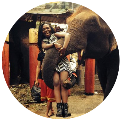 Student being held up by elephant trunk