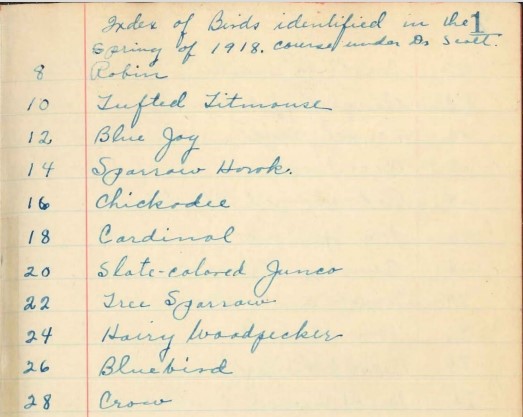 Clipping from Charles Driver's birding journal