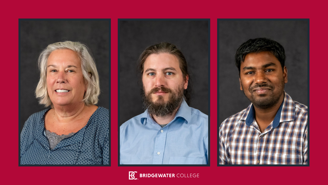 Bridgewater Associates visual data 4