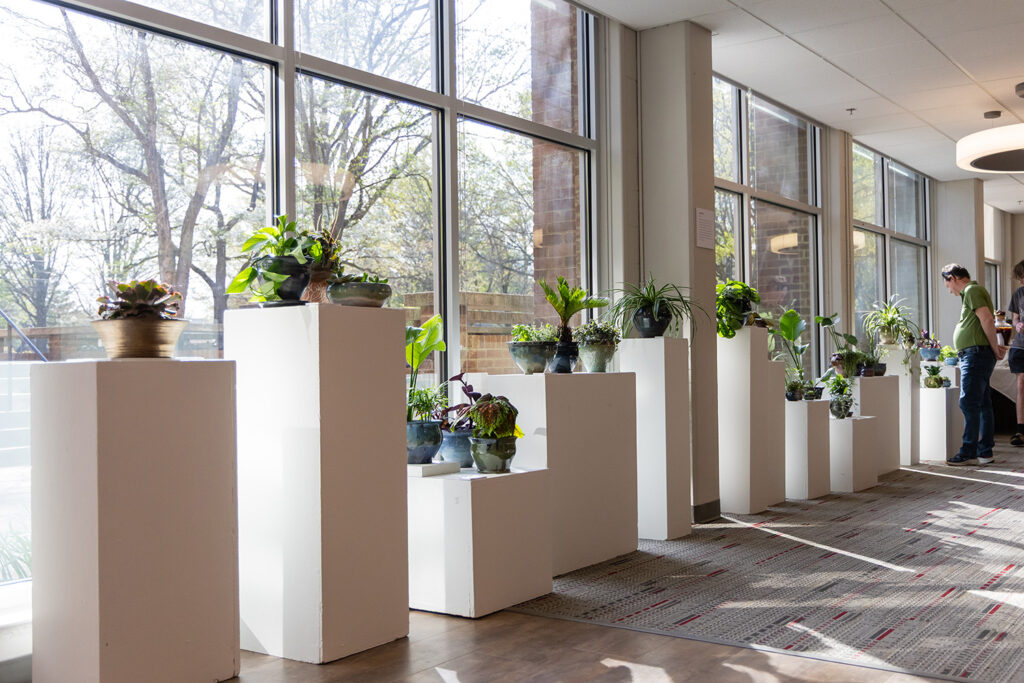 Different potted plants displayed on different level podiums in an art exhibit