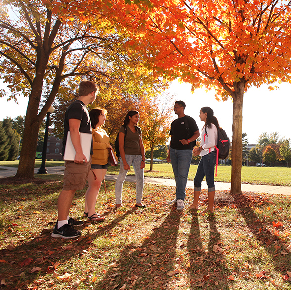 Group of students circled around in a group under the fall trees on campus