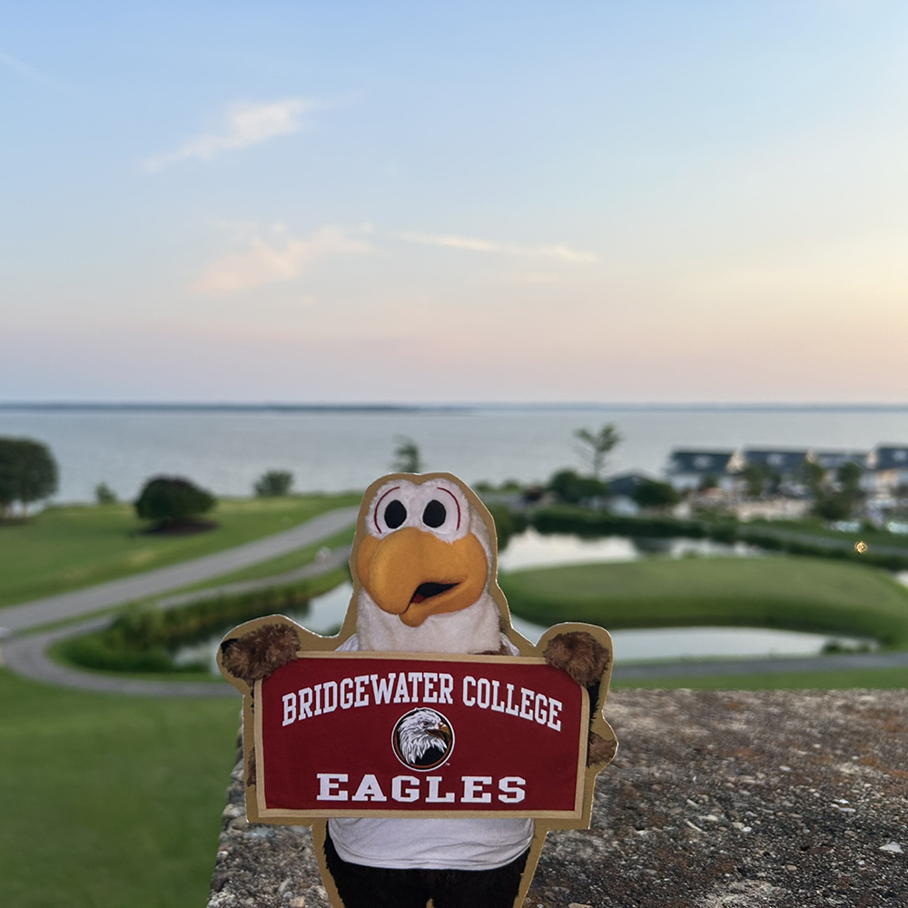 Flat Ernie in front of sunset