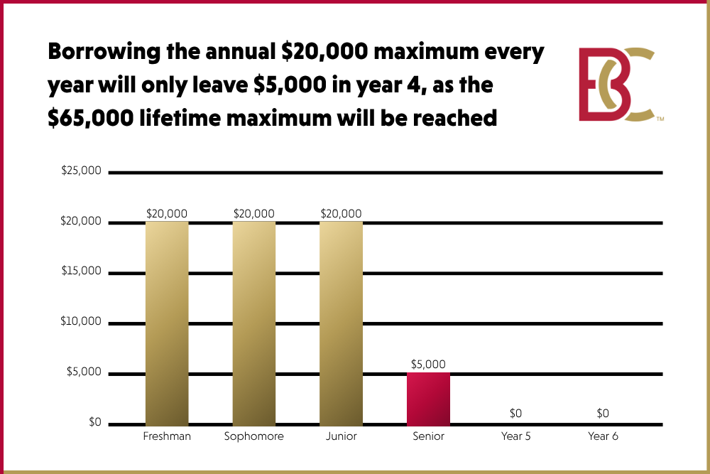 Borrowing the annual 20000 maximum every year will only leave 5000 in year 4 as the 65000 lifetime maximum will be reached